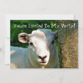 INVITATION PETIT MOQUETTE (Devant)