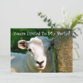 INVITATION PETIT MOQUETTE (Debout devant)