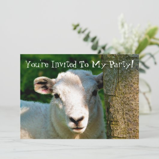 INVITATION PETIT MOQUETTE (Debout devant)