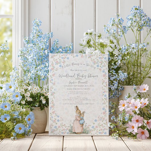 Invitation Petit Peter Rabbit et maman Baby shower