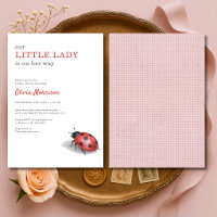 Petite Dame Coccinelle Baby Shower Gingham