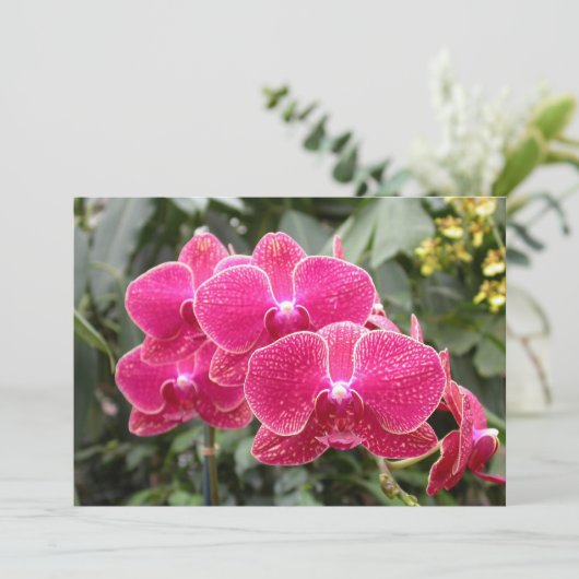 Invitation Phaléonopsis rose (Debout devant)