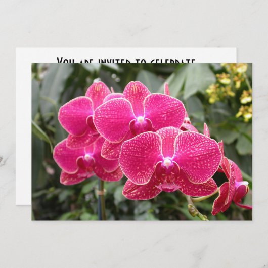 Invitation Phaléonopsis rose (Devant / Derrière)