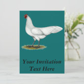 Invitation Phoenix : Hen blanc (Debout devant)