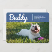 Invitation Photo Chien Chien Chien Chien Personnalisé Moderne (Devant)