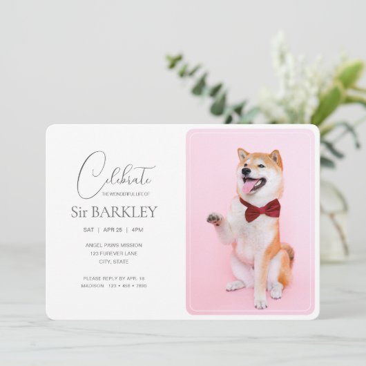 Invitation photo commémorative pour animaux de com (Debout devant)