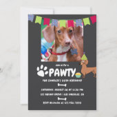Invitation photo d'anniversaire de chien teckel (Devant)