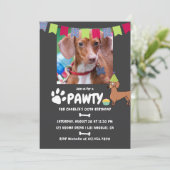Invitation photo d'anniversaire de chien teckel (Debout devant)