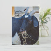 Invitation Photo de chèvre noire mignonne Anniversaire (Debout devant)