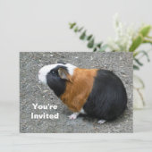 Invitation Photo de Cochon de Guinée Anniversaire (Debout devant)