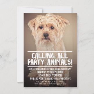 Invitation PHOTO DE FÊTE DE CHIEN