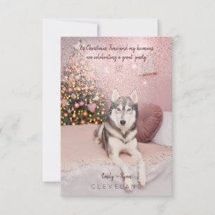 Invitation Photo de fête de Noël sophistiquée pour animaux de