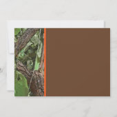 Invitation Photo de Graduation des arbres forestiers (Dos)