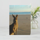 Invitation photo de Kangaroo (Debout devant)