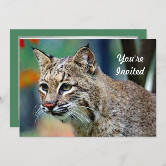 Invitation Photo de la faune Bobcat Anniversaire (Devant / Derrière)