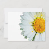 Invitation Photo de la marguerite blanche Célébration de la c (Dos)