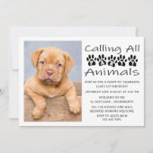Invitation Photo de l'anniversaire du chien (Devant)