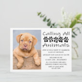 Invitation Photo de l'anniversaire du chien (Debout devant)