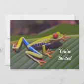 Invitation Photo de l'oeil rouge grenouille Anniversaire (Devant)