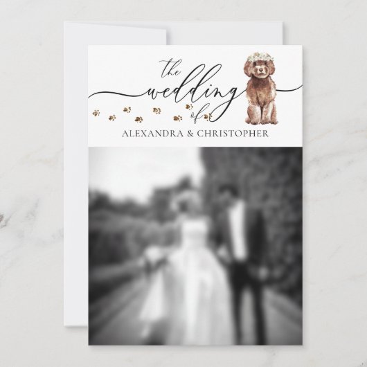 Invitation Photo de mariage de chiot Cavapoo marron (Devant)