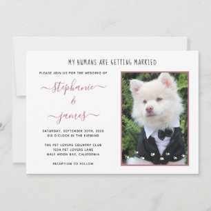 Invitation Photo de mariage de personnes avec rose en or pour