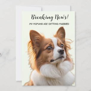 Invitation Photo de mon chien Mes humains se marient