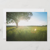 Invitation Photo de paysage d'arbre - Annonce de mariage (Dos)