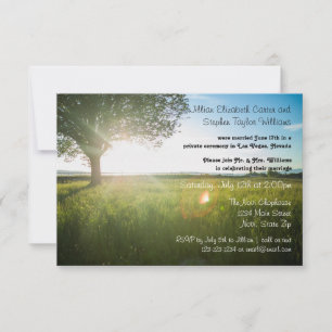Invitation Photo de paysage d'arbre - Annonce de mariage 3x5