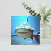 Invitation photo de requin (Debout devant)