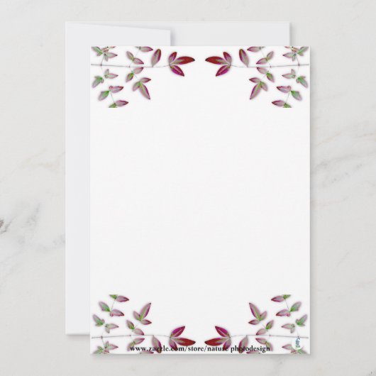 INVITATION PHOTO DU 60E ANNIVERSAIRE DE LA BRANCHE FEUILLES R (Dos)