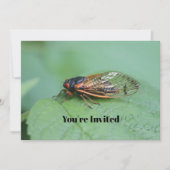 Invitation Photo du Canada Anniversaire (Devant)