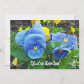 Invitation Photo florale Pretty Blue and Yellow Pansy Anniver (Devant)