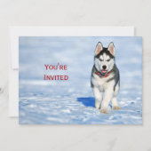 Invitation Photo Husky Puppy Neige Noël (Devant)