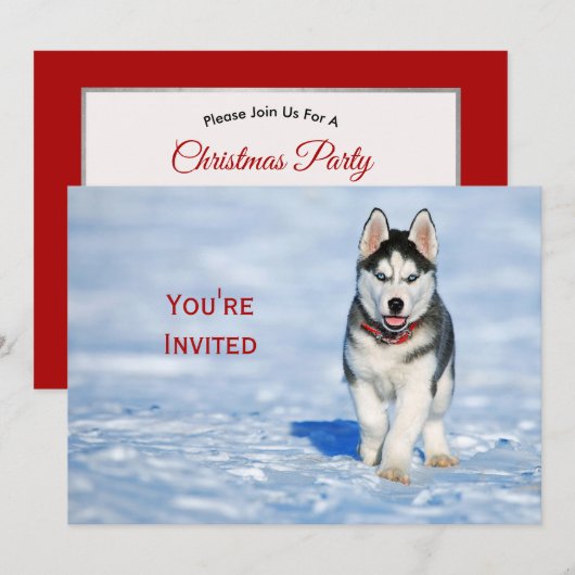 Invitation Photo Husky Puppy Neige Noël (Devant / Derrière)