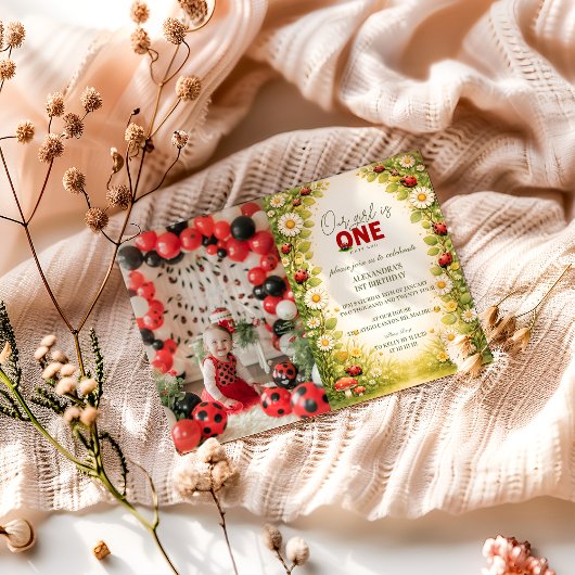 Invitation Photo Little Meadow Lady Turns One