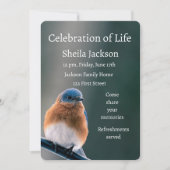 Invitation Photo Memorial Bluebird Garden Bird (Devant)