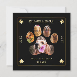 Invitation Photo Pet memorial - Black   Gold