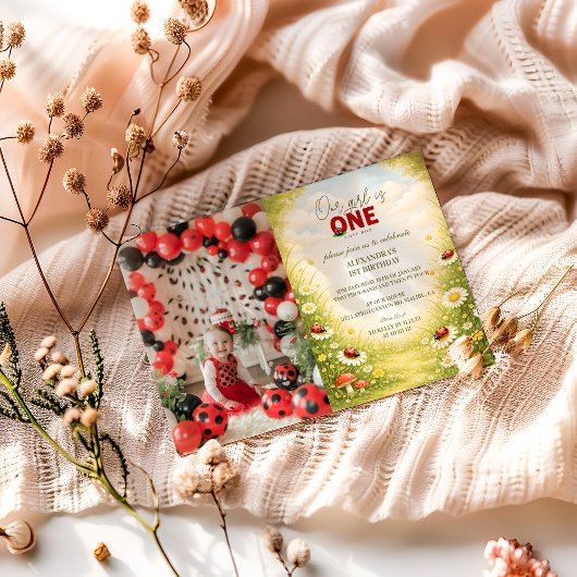 Invitation Photo Whimsical Garden Lady Bug 1st Birthday