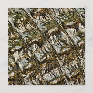 Invitation Photographie Abstraite de l'Alligator de dos