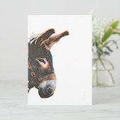 Invitation Pic de Sneak (Debout devant)