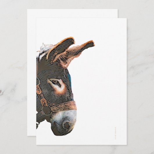 Invitation Pic de Sneak (Devant / Derrière)