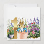 Invitation Pierre le lapin dans un pot premier anniversaire (Devant)