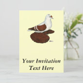 Invitation Pigeon à aile rouge (Debout devant)
