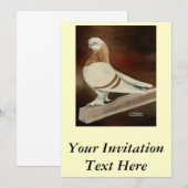 Invitation Pigeon à face courte de Berliner (Devant / Derrière)