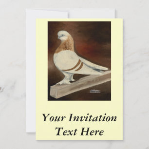 Invitation Pigeon à face courte de Berliner
