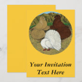 Invitation Pigeon Combo (Devant / Derrière)
