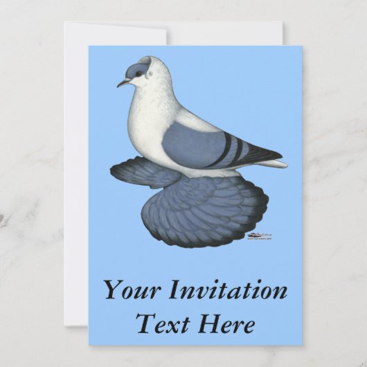 Invitation Pigeon hirondelle bleu (Devant)