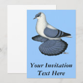 Invitation Pigeon hirondelle bleu (Devant / Derrière)