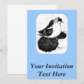 Invitation Pigeon hirondelle saxon 1978 (Devant / Derrière)