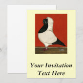 Invitation Pigeon noir (Devant / Derrière)